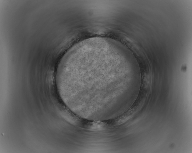 X0000091960612200709271347