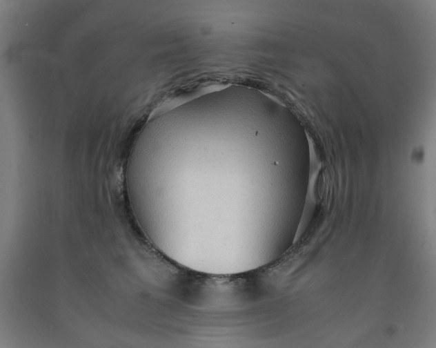 X0000091960613200709271347