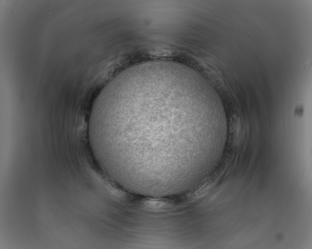 X0000091960614200709271347