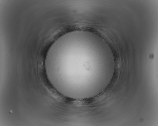 X0000091960615200709271347