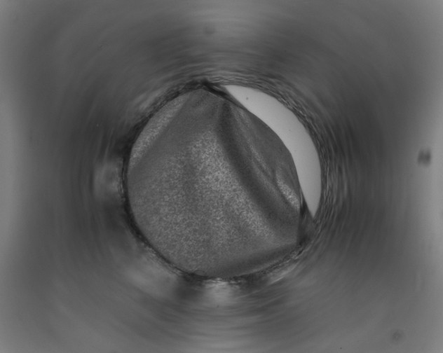 X0000091960616200709271347