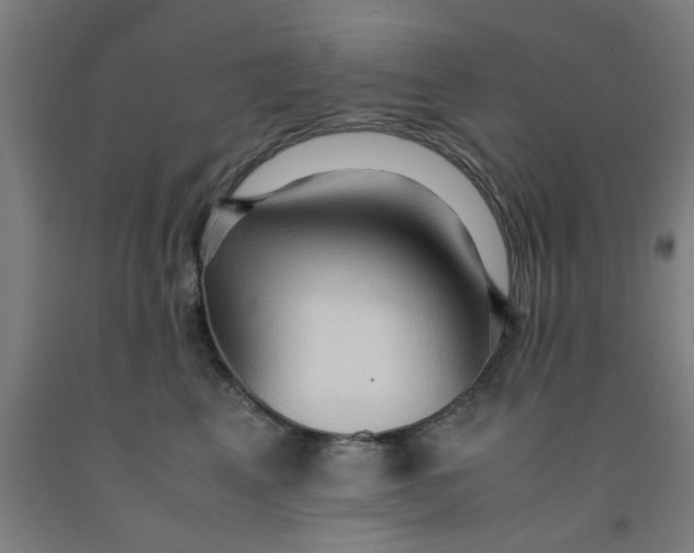 X0000091960617200709271347