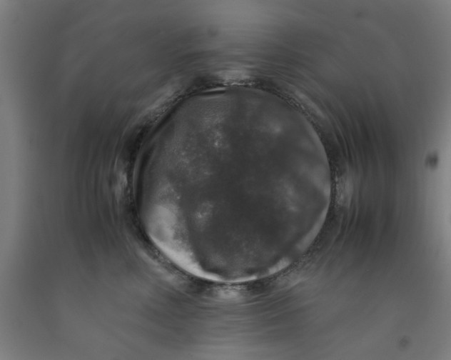 X0000091960618200709271347