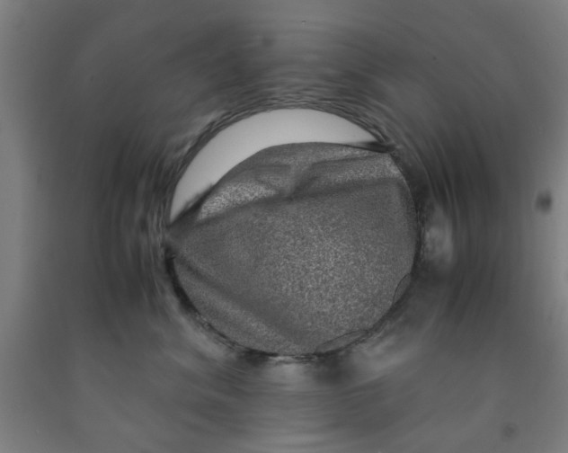 X0000091960620200709271347