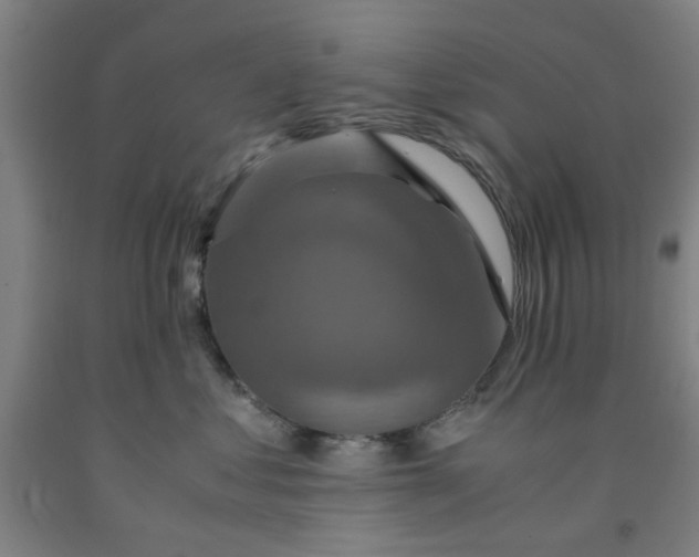 X0000091960621200709271347