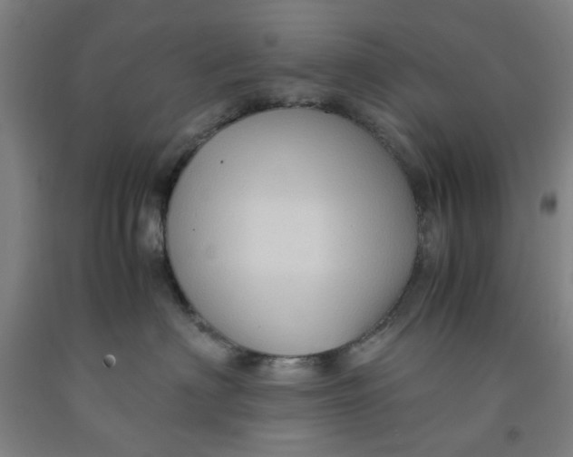 X0000091960622200709271347