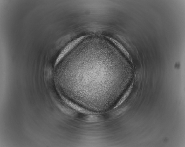 X0000091960623200709271347