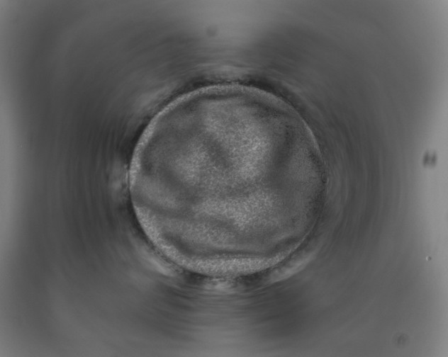 X0000091960624200709271347