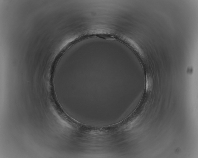 X0000091960627200709271347