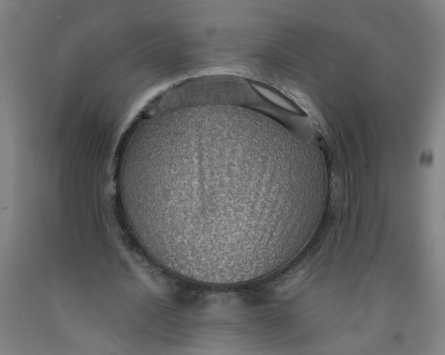 X0000091960628200709271347