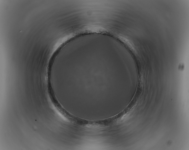 X0000091960630200709271347