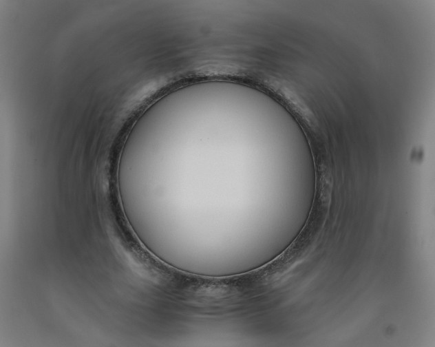 X0000091960631200709271347