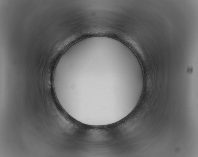 X0000091960633200709271347