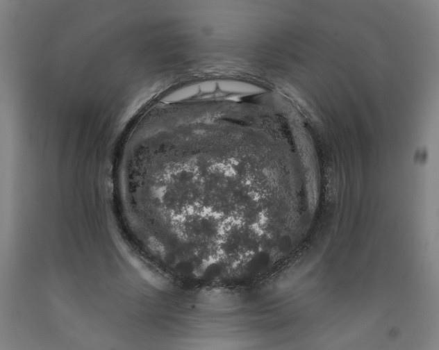 X0000091960634200709271347