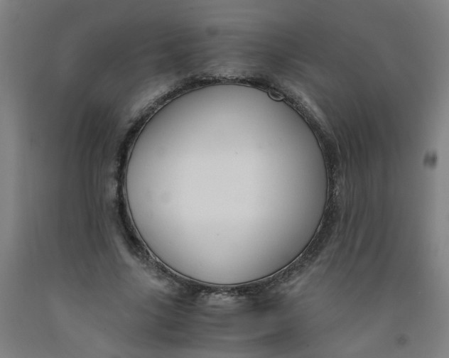 X0000091960635200709271347