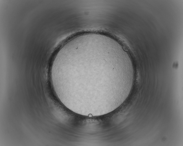 X0000091960636200709271347