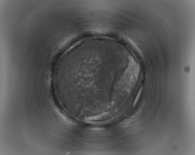 X0000091960637200709271347