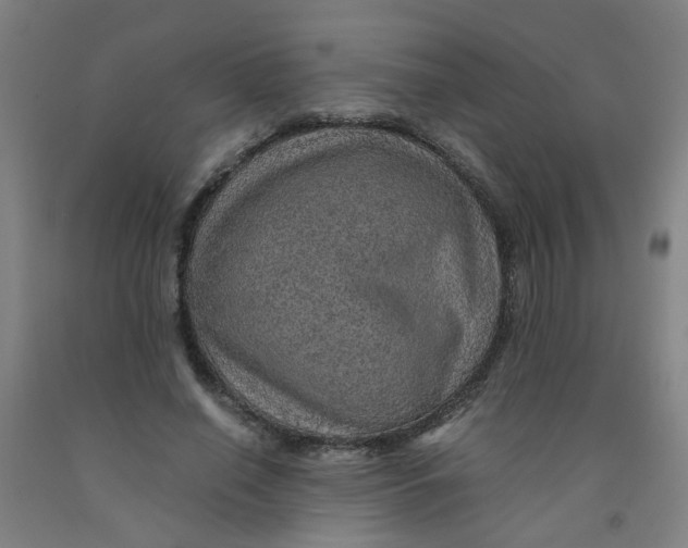 X0000091960638200709271347