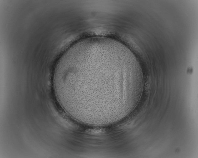 X0000091960639200709271347