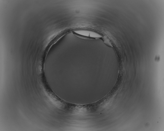 X0000091960640200709271347