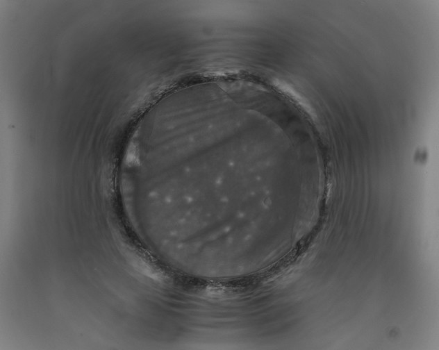 X0000091960641200709271347