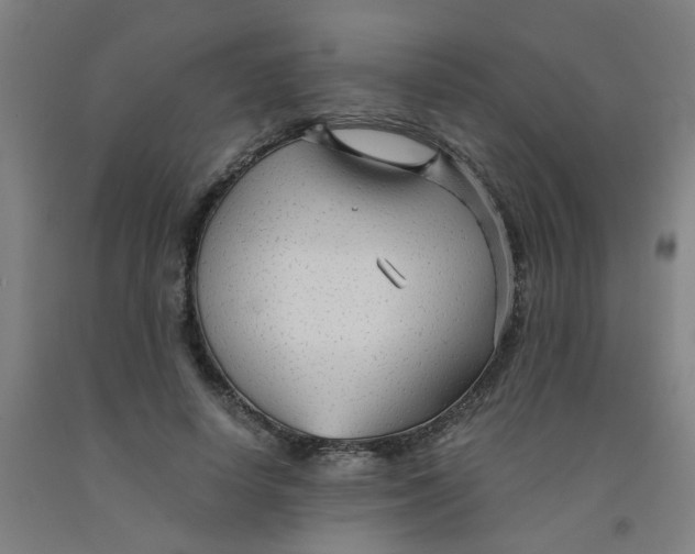 X0000091960642200709271347