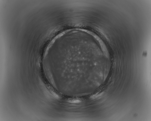 X0000091960643200709271347