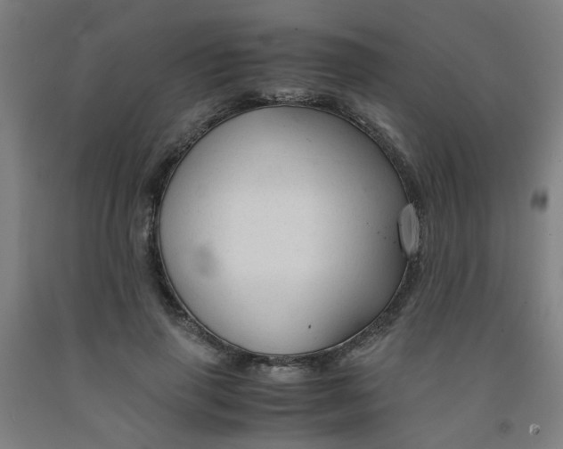 X0000091960645200709271347