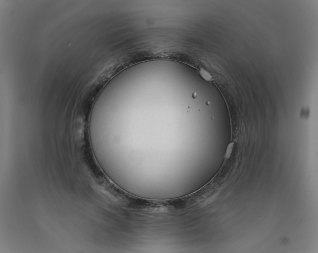 X0000091960646200709271347