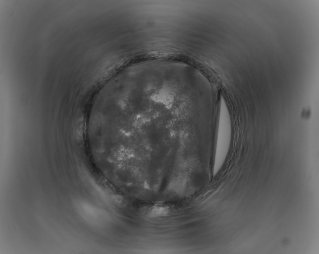 X0000091960647200709271347