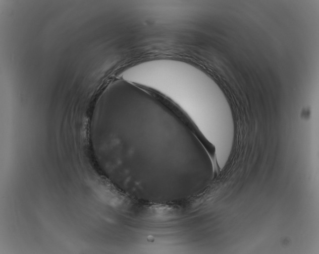 X0000091960650200709271347