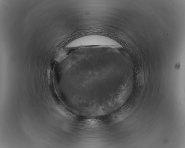 X0000091960654200709271347