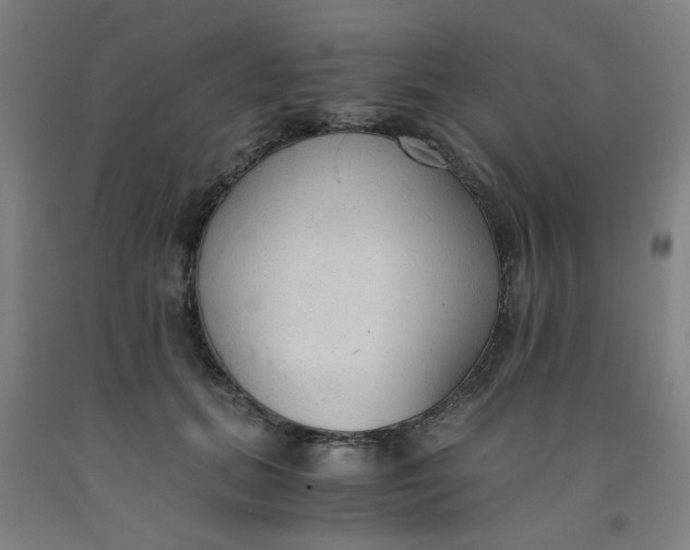 X0000091960655200709271347