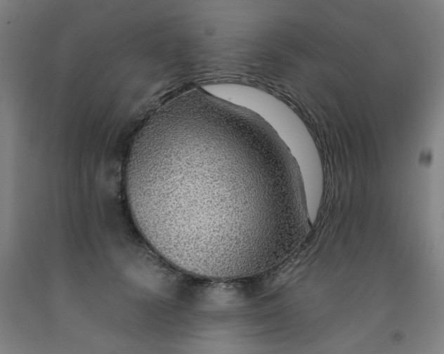 X0000091960656200709271347