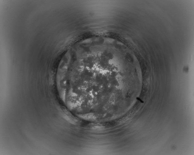 X0000091960658200709271347