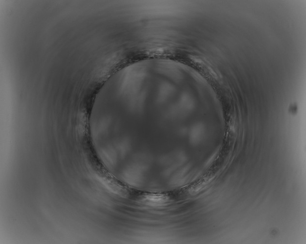 X0000091960659200709271347