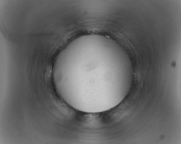 X0000091960660200709271347