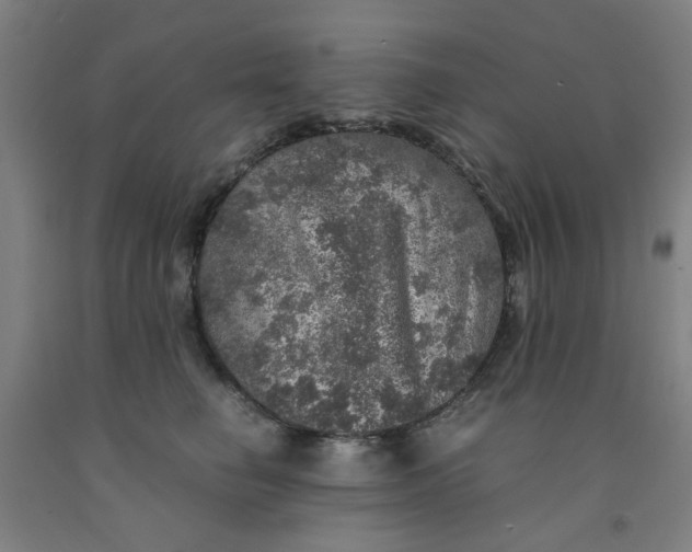 X0000091960662200709271347