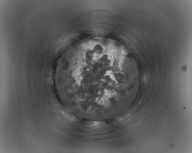 X0000091960663200709271347