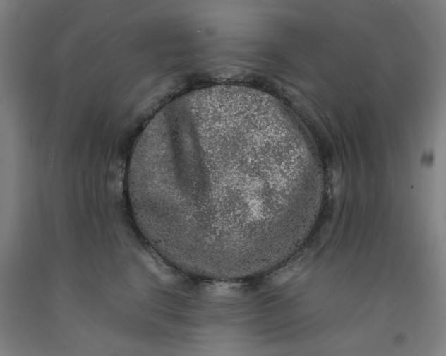 X0000091960664200709271347