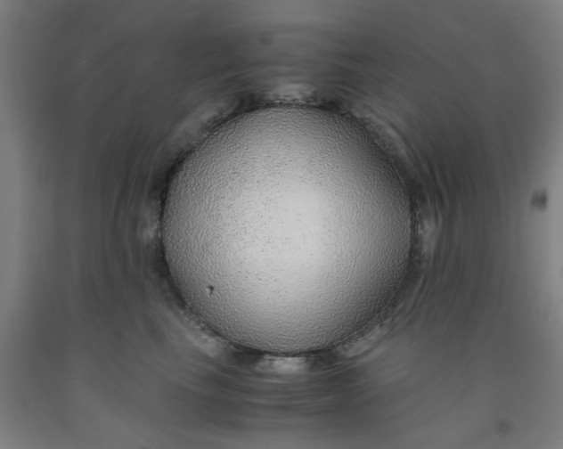 X0000091960665200709271347