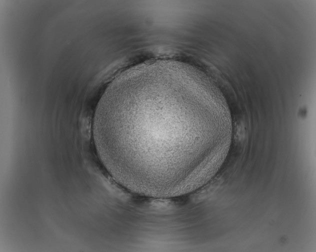 X0000091960666200709271347