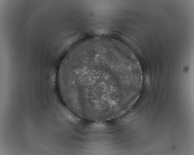 X0000091960668200709271347