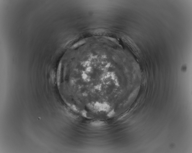 X0000091960669200709271347