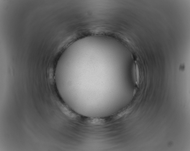 X0000091960670200709271347