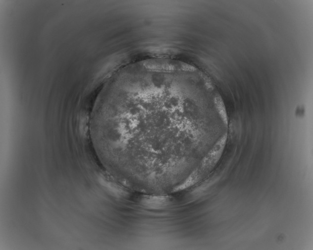 X0000091960671200709271347