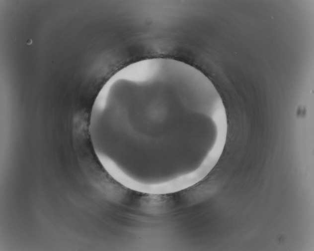 X0000091960672200709271347