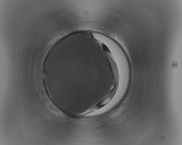 X0000091960673200709271347