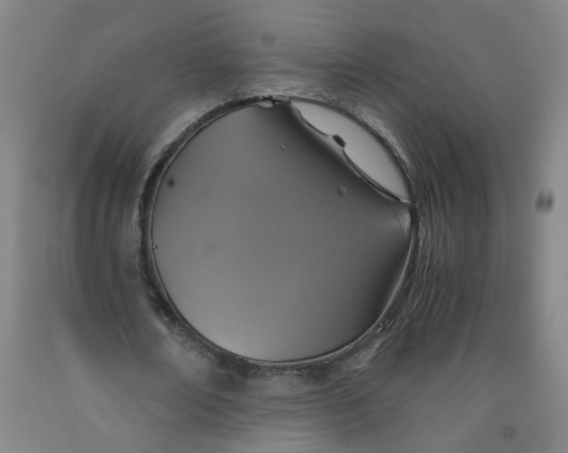 X0000091960674200709271347