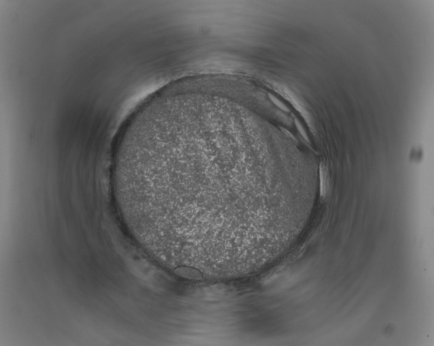 X0000091960675200709271346